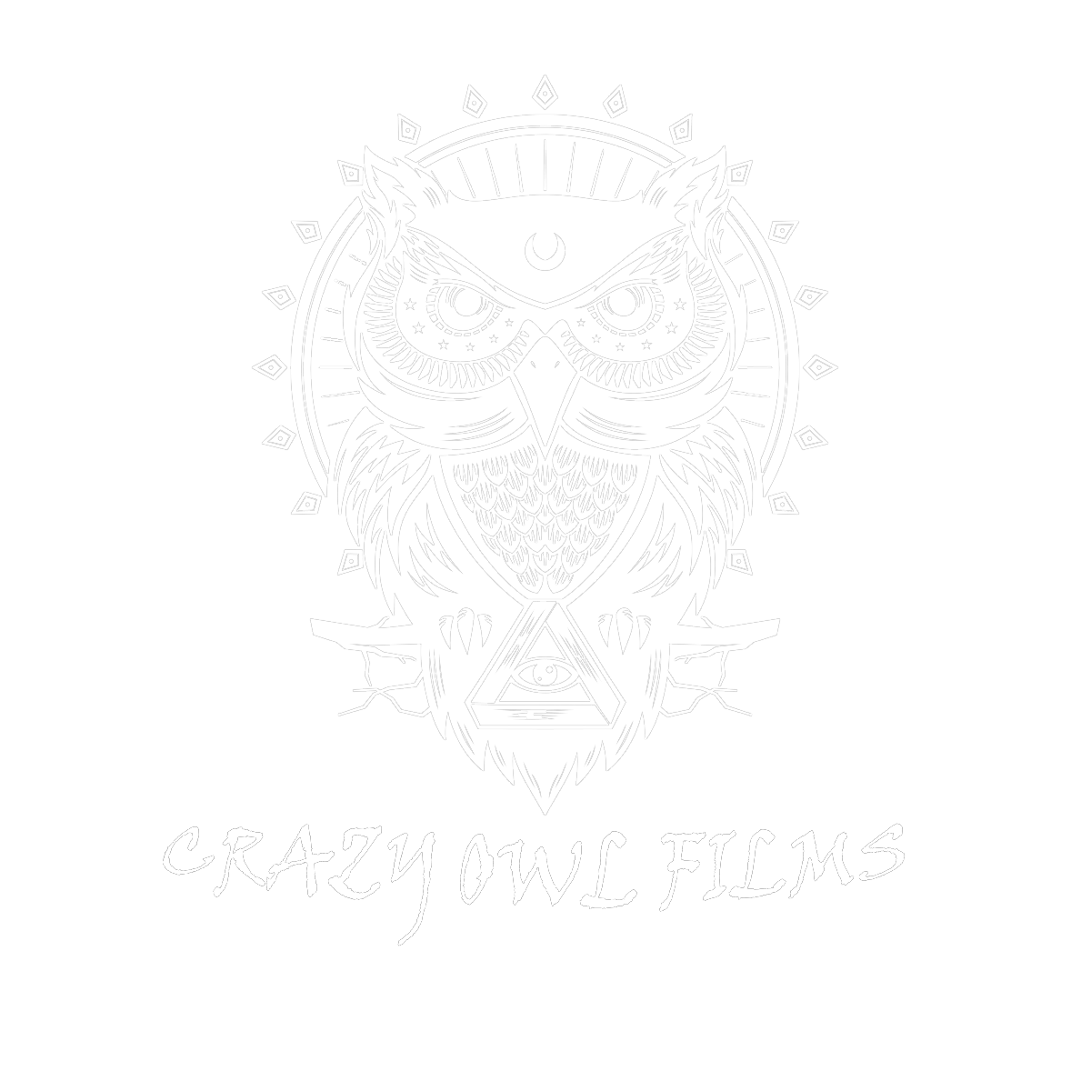 crazyowlfilms